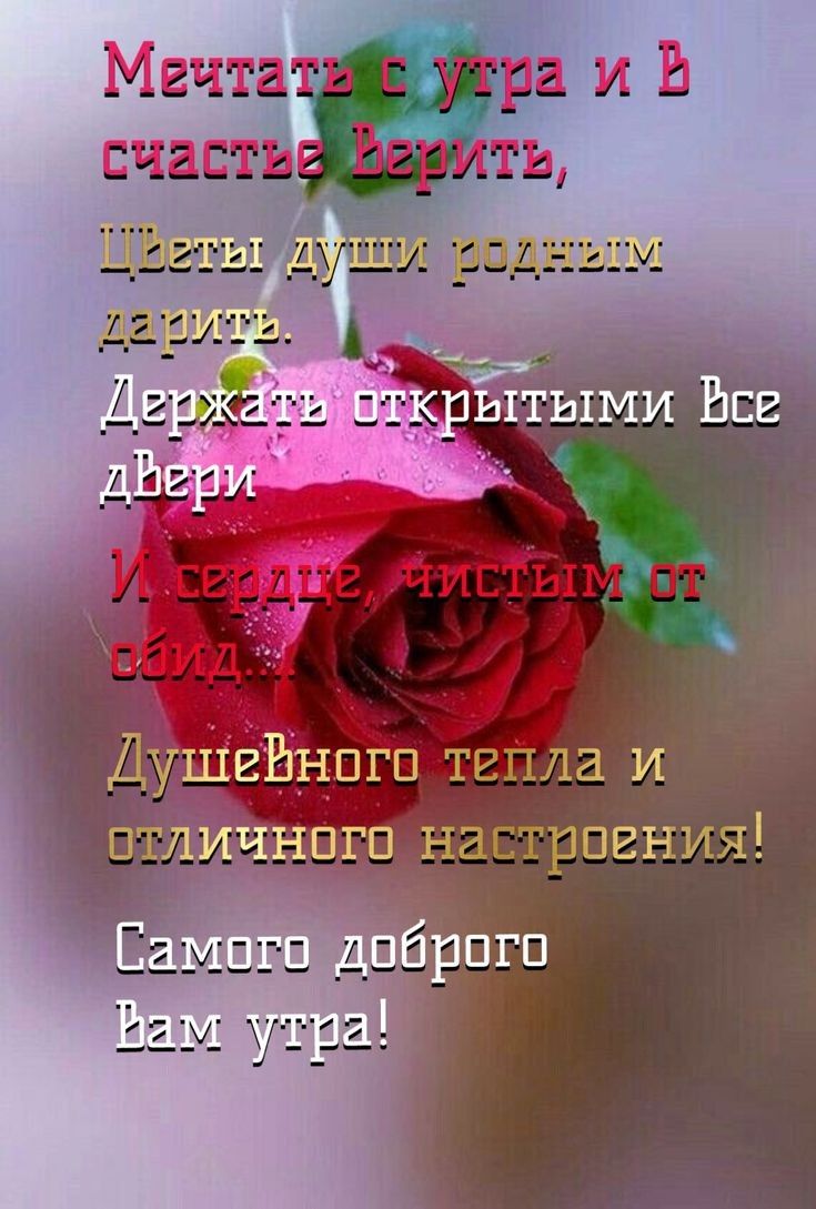 Мвчтатшс утра и В чаптьёйритъ ДД ч Душгйнпгп тепла и гп настроения