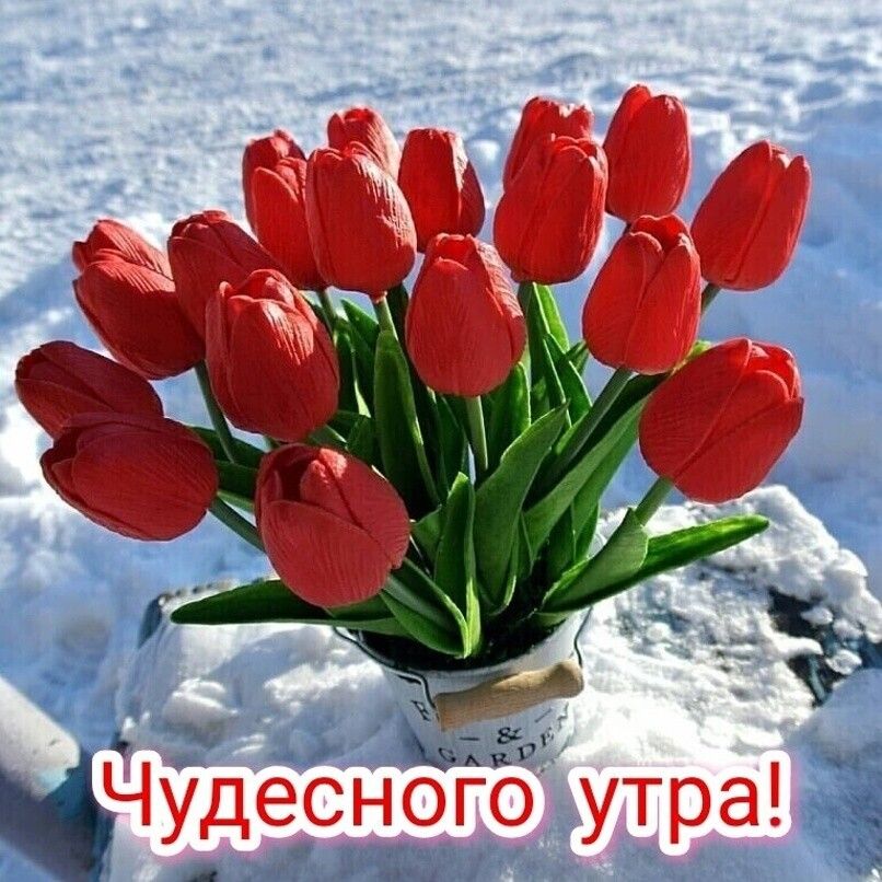 із Чудерного утра 3 в