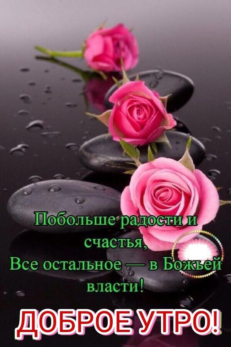 Все остальное 7 в Божье к__ _ власти ДФБРФЕ утро