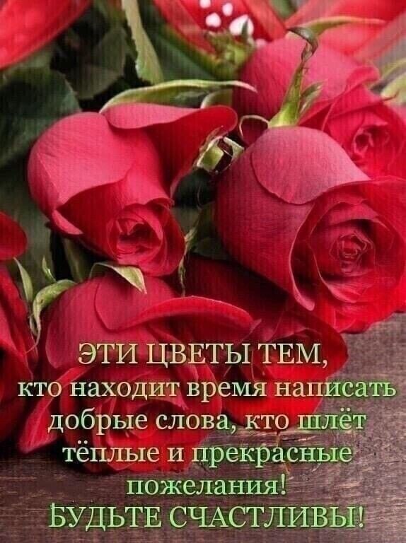 ч ЭТИ ЦВЕТЫ ТЕМ кто Находит время на и