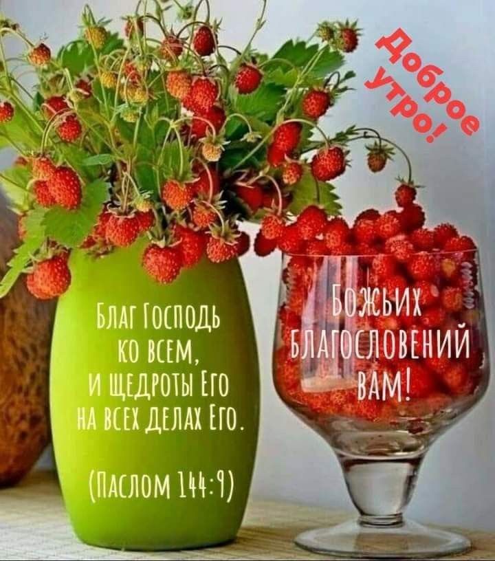Ьпм шпиль ЛОВЕНИЙ ко ним 5 и щышпы т М ил шхщлдх по __ ПМЛОМ