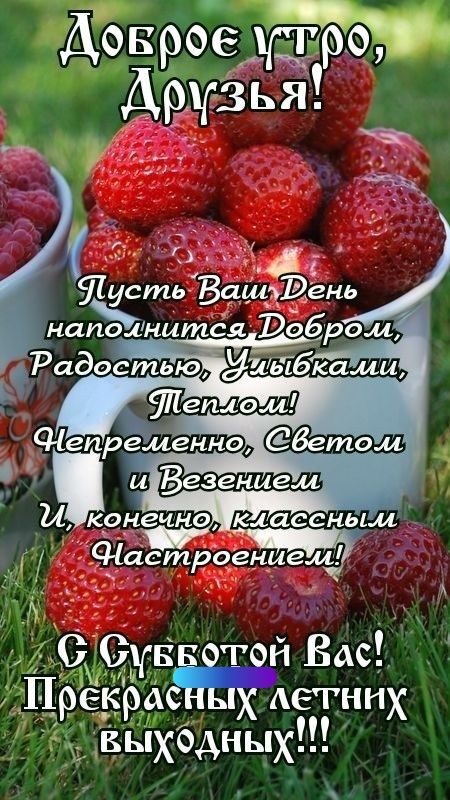 Доврое 87 Дртізья О дуй й Вас Прекраждегннх выхбдных