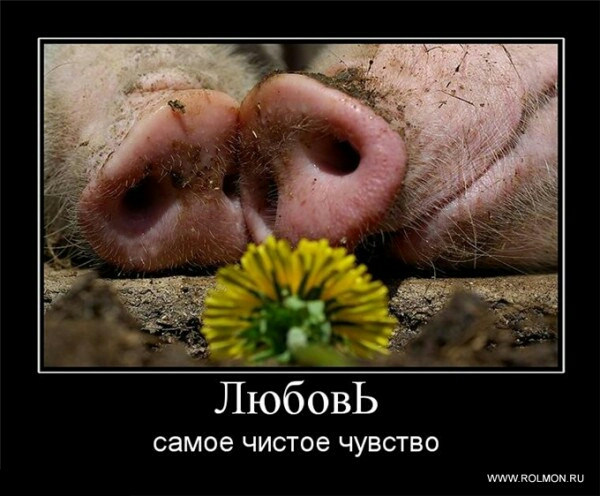 самое ЧИСТОЭ ЧУВСТВО Мюмюн ки