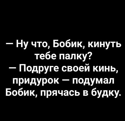 Ну что Бобик кинуть тебе палку Подруге своей кинь придурок подумал Бобик прячась в будку