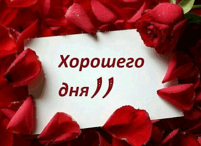 Хорошего дня