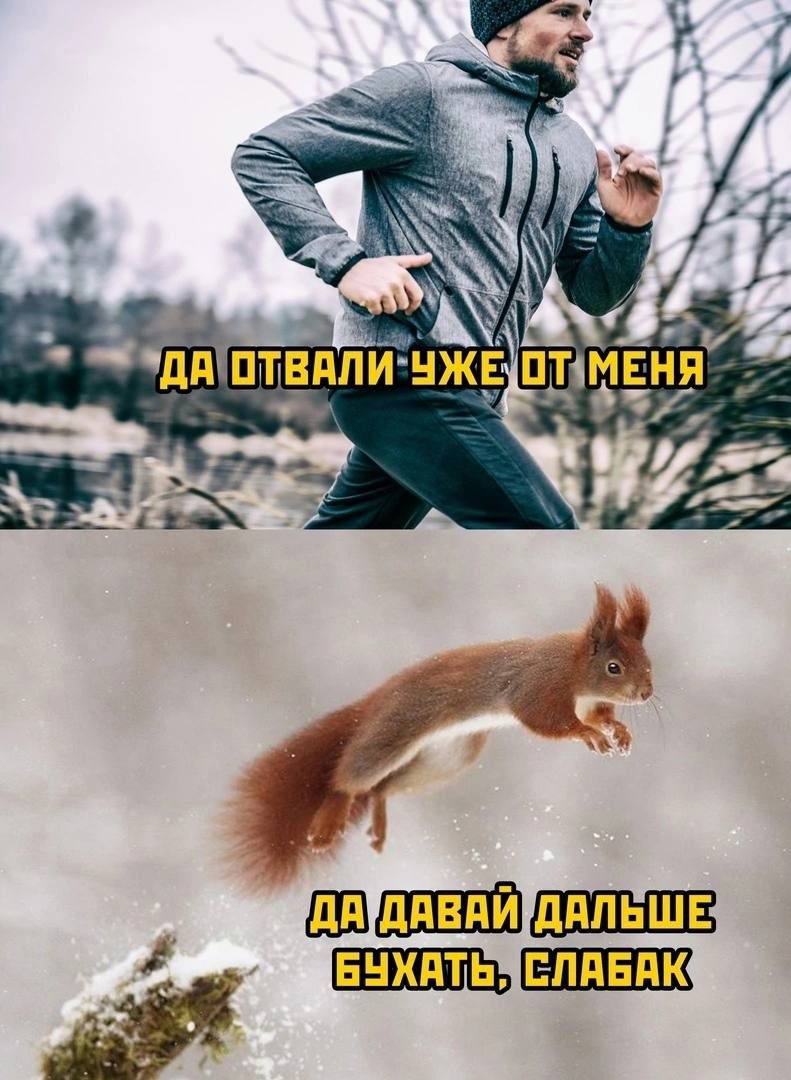 ИЕЕШНЕЗ Щдявп