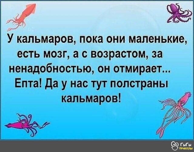 2 У кальмаров ПОКЗ ОНИ маленькие ЕСТЬ МОЗГ а С возрастом за НЕНЗДОбНОСТЫО ОН отмирает Епта да у нас тут полстраны кальмаров Г