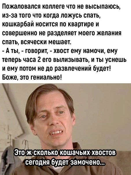 Пожаловался коллеге что не высыпаюсь из за того что когда ложусь спать кошкарбай носится по квартире и совершенно не разделяет моего желания спать всячески мешает А ты говорит хвост ему намочи ему теперь часа 2 его вылизывать И ТЫ уснешь и ему потом не до развлечений Будет Боже это гениально 310 ЖБКВПЬКЫКОШЗЧЬЦХ ХВОСТОВ сегодня будетэамочено у