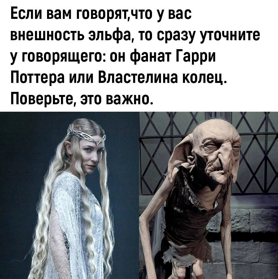 Если вам говорятчто у вас внешность эльфа то сразу уточните у говорящего он фанат Гарри Поттера или Властелина колец Поверьте это важно