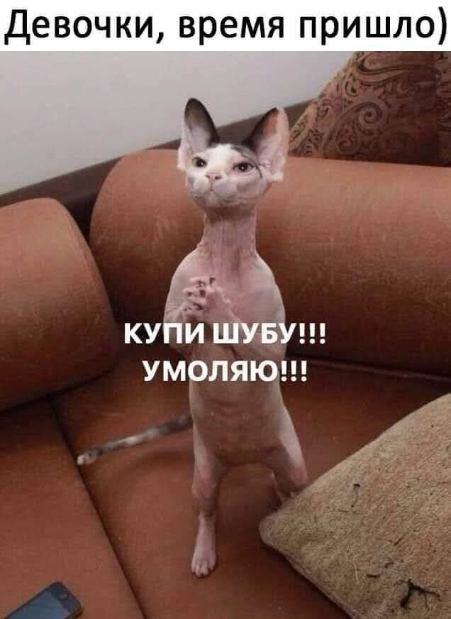 Девочки время пришло УМОЛЯЮ