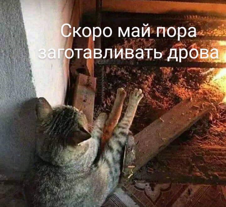 коро май пора озтавли3ать дрова