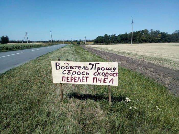 ВОЭБПЭЛЬТ ош ЁРОСЬ скача пвре т пис