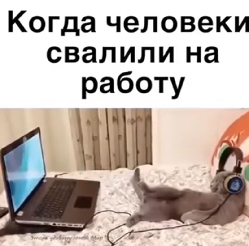 Когда человеки свалили на работу ии