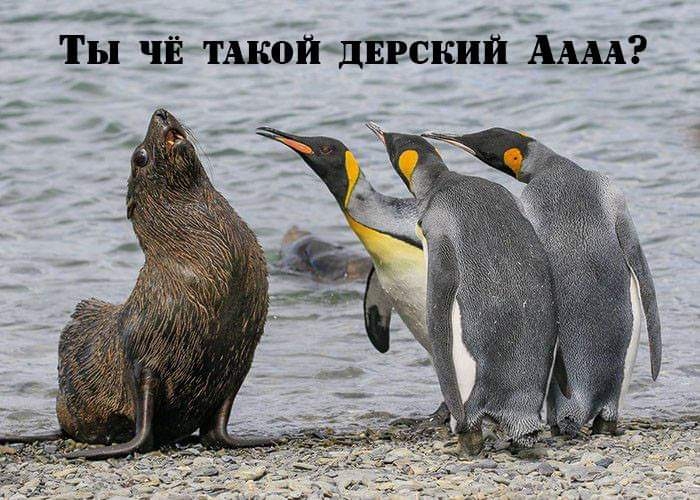 __ _Ты ч ТАК0ЙДЕЁСКИЙ АААА