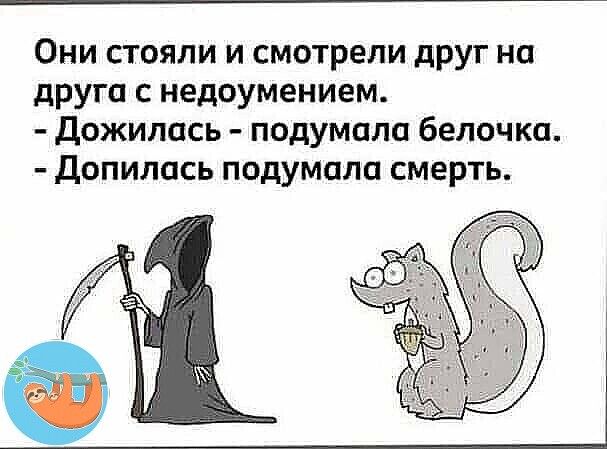 Они стояли и смотрели друг на друга с недоумением Дожилась подумала белочка Допилась подумала смерть