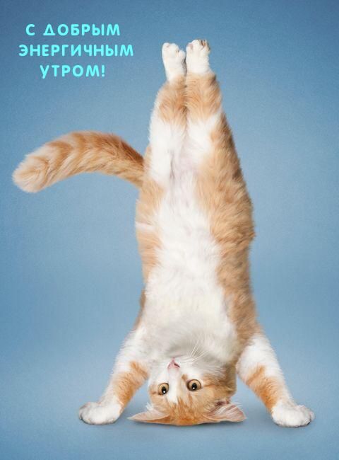 ЭНЕРГИЧНЫМ утРОМ