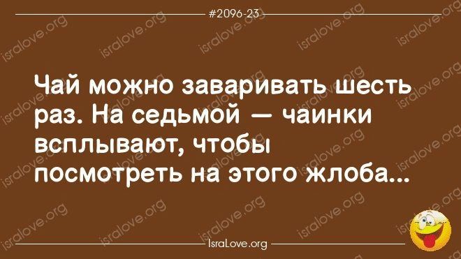 _ шпиц 257 Чай можно заваривать шесть раз На седьмой чвинки всплывают чтобы посмотреть на этого жлоба