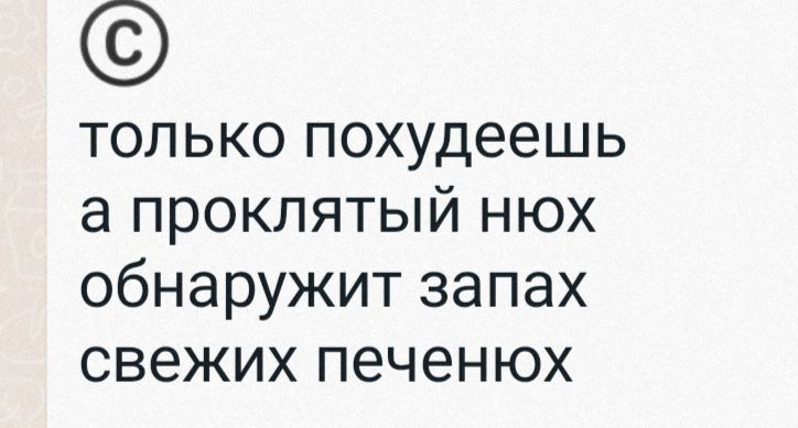 только похудеешь а проклятый нюх обнаружит запах свежих печенюх