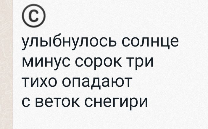 улыбнулось солнце минус сорок три тихо опадают с веток снегири