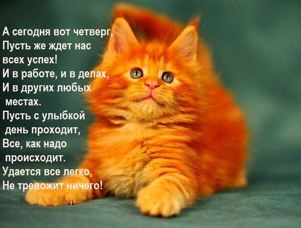 А спалил чывор Пусть ж жди инс всех успел И 5 работ и в И в других люб местах Пусть с улыбкой день прохпдиг Еее нк ищи происходит Уд тп не и