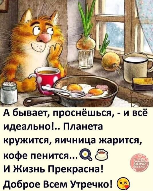 идеально Планета кружится яичница жарится кофе пенитсяа и Жизнь Прекрасна доброе Всем Утречко