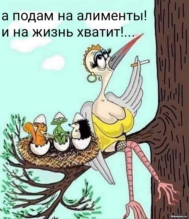 а подам на алименты И Нд ЖИЗНЬ ХВЭТИТЁ