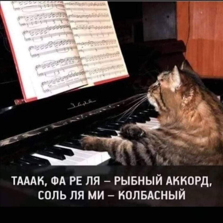 ТАМ ФА РЕ ЛЯ РЫБНЫЙ АККОРД СОЛЬ ЛЯ МИ НОЛБАСНЫЙ
