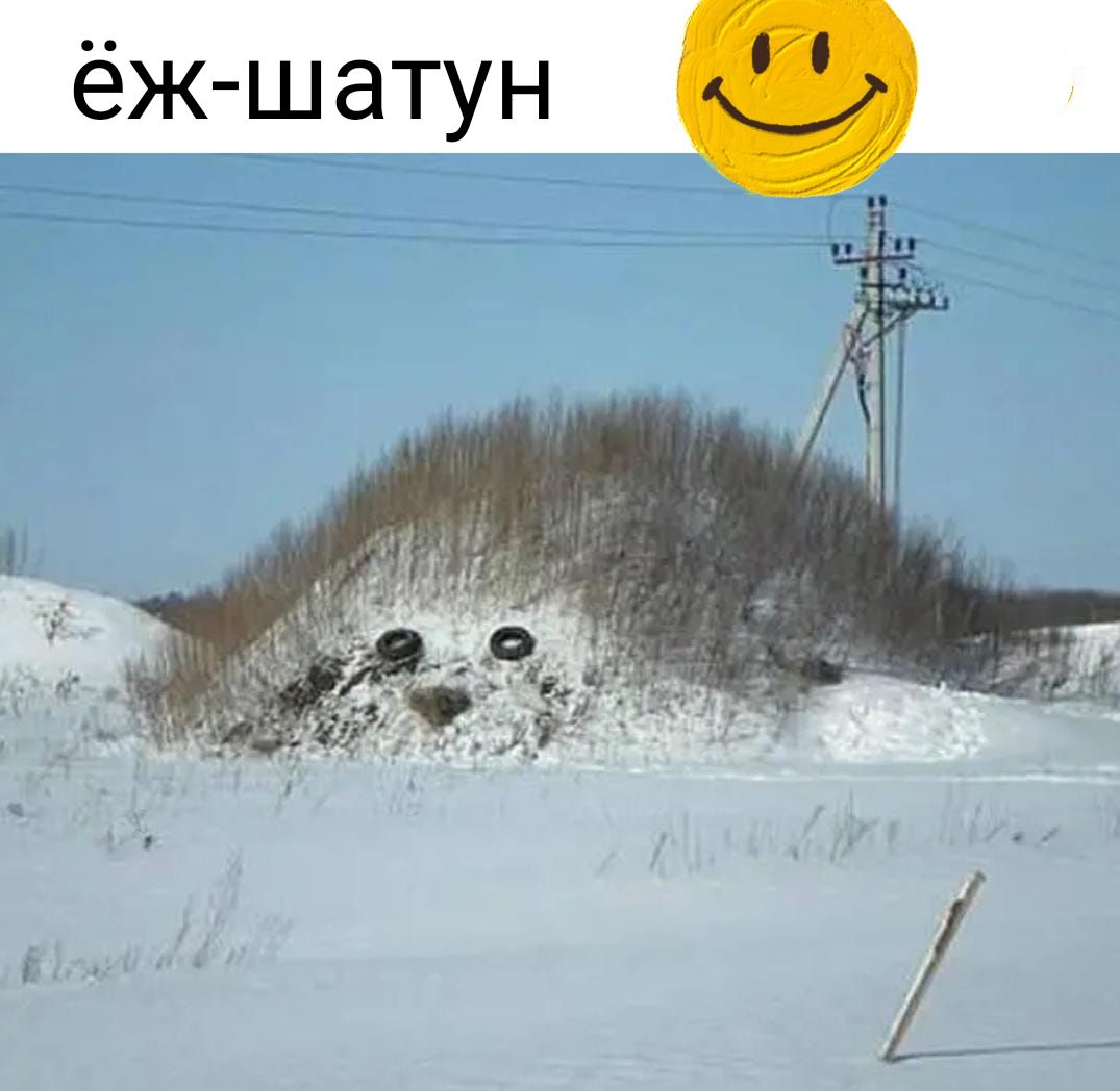 ёж шатун