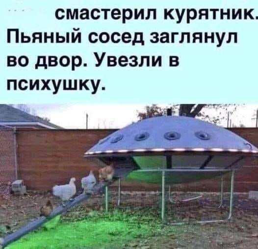 смастерил курятник Пьяный сосед заглянул во двор Увезли в психушку