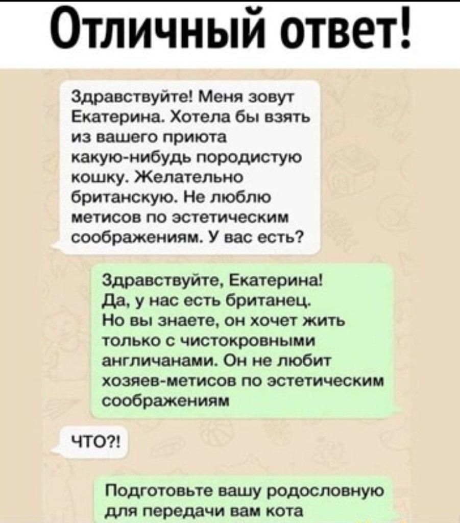 ОТЛИЧНЫМ ОТВЕТ адм защит Меня зовут Екатерина Хочела бы вать из вашего прикла какую иибудь породистую кошку Желательно бртаискую Не люблю метизов по эстеическии соображениям мс есть7 гиацинты Екатерина да у на есть британец Но вы пинга он хочет жить только с чистокронмыии англичанами Ои ие тобт хозяев ищите по эстетическим соображениям ЧТО Подготовьте вашу радостию для передачи еаи каш