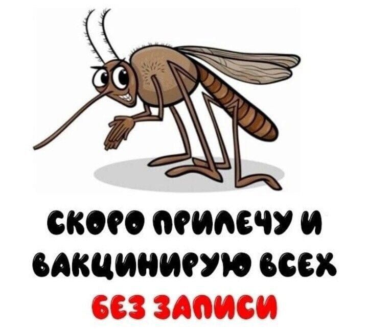 68090 00006 И САКЦИОШОУЮ 6668 663 ЗМШСИ