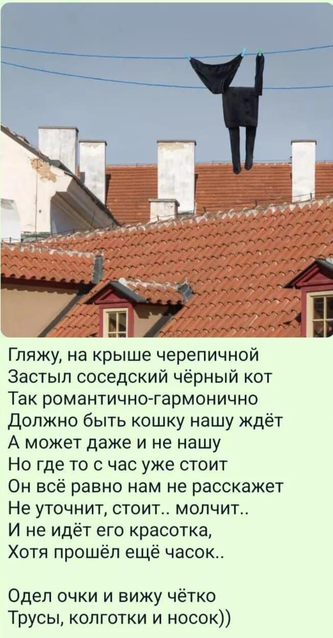 Гляжу на крыше черепичной Застыл соседский чёрный кот Так романтично гармонично Должно быть кошку нашу ждёт А может даже и не нашу Но где то с час уже стоит Он всё равно нам не расскажет Не уточнит стоит молчит И не идёт его красотка Хотя прошёл ещё часок Одеп очки и вижу чётко Трусы колготки и носок