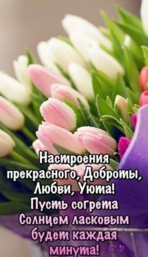 Настроения преТраотц Аюбізи Уюта Пусть согрета Солнцем ласковым будет кажт минута