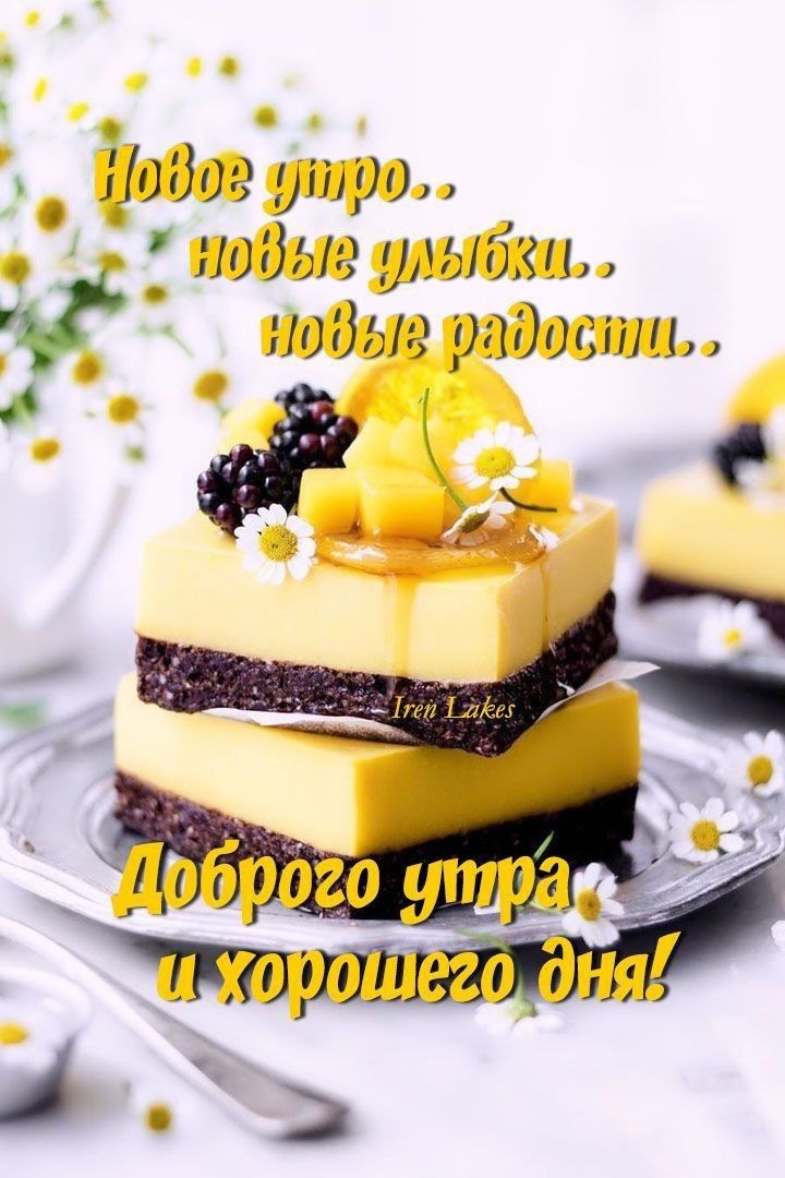 Цадагушрщ _ низшиебац пдд иодаг упадешь р