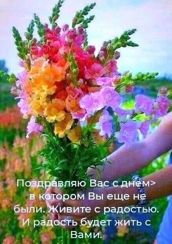 ивите радостью И рёдоаь будет жить с Вами