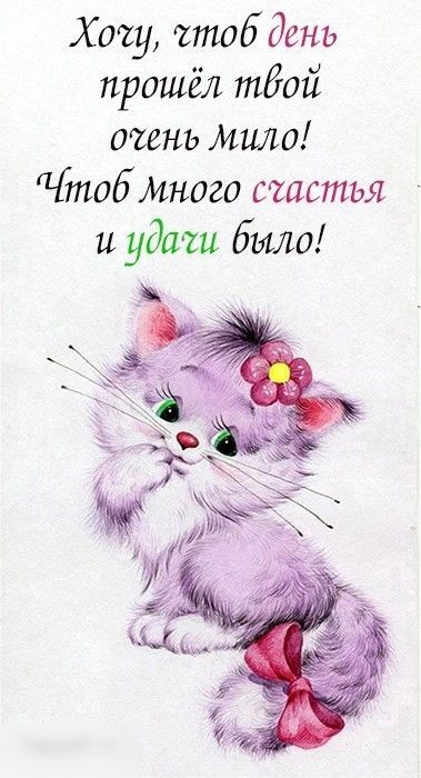 Хочу чтоб день прошёл тдой синь Мило ЧтобИного счастья и удаш было