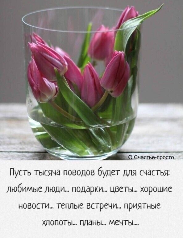 Счастье просто Пусть тысяча поводов будет для счастья любимые люди подарки цветы хорошие НОВОСТИ теплые ВСТРЕЧИ ПРИЯТНЫЕ ХЛОПОТЫ ПЛдНЫ МЕЧТЫ
