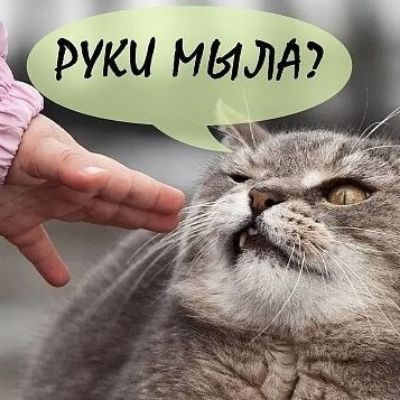 _ РУКИ ИЗЮМ