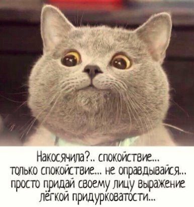 Накосячтаі спококтвие ТШЬКО СПОКОУСТБИС не шравдывмя просто придди своему Лицу выражение легком придурковатости