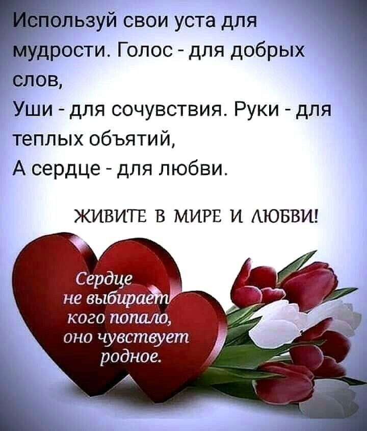 Етользуй свои уста для мудрости Голос для добрых слов Уши для сочувствия Руки для теплых объятий А сердце для любви ЖИВИТЕ В МИРЕ И АЮБВИ Сердце не выбира кого попаю оно чувствует родное А
