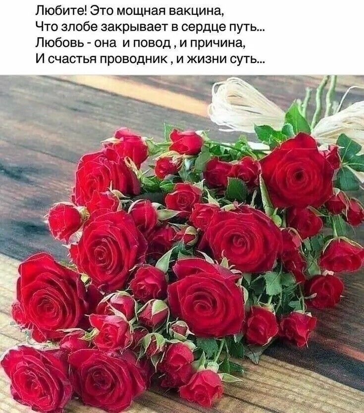 Любите Это мощная вакцина Что злобе закрывает в сердЦе путь Любовь она и повод и причина И счастья проводник и жизни суть