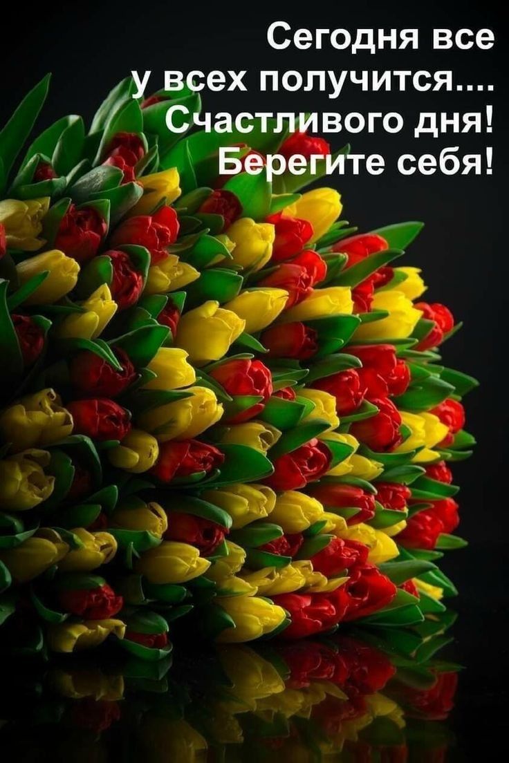 Сегодня все ех получится 7 _ вого дня _ е себя