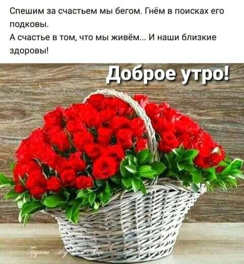 Спешим за счастьем мы бегам Гнем в поисках еги ппдконь А счастье в том что мы живём И наши близкие здоровы