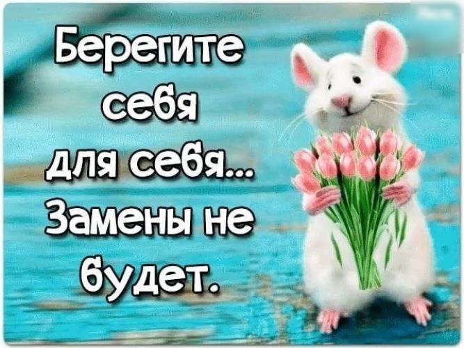 веб з г я