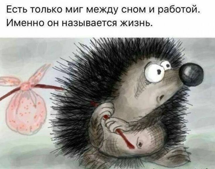 Есть только миг между сном и работой Именно он называется жизнь