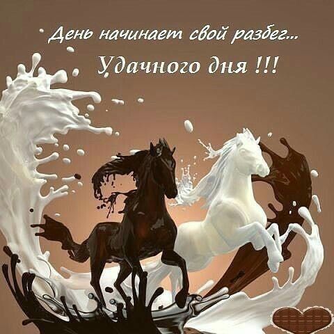 Дени начинает сдай идее Удачного дня