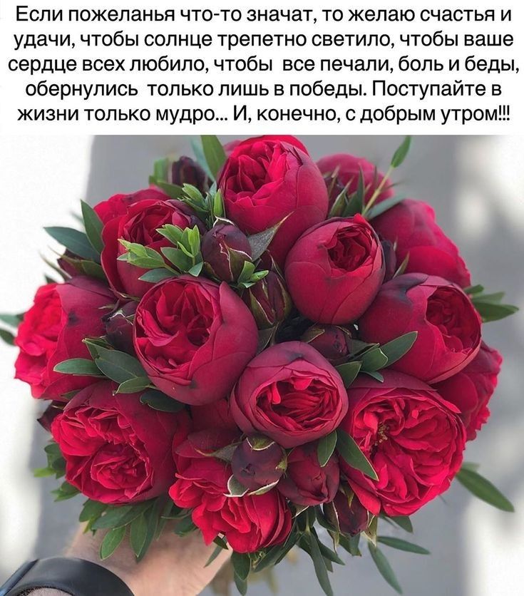 Если пожеланья что то значат то желаю счастья и удачи чтобы солнце трепетно светило чтобы ваше сердце всех любило чтобы все печали боль и беды обернулись только лишь в победы Поступайте в жизни только мудро И конечно с добрым утром