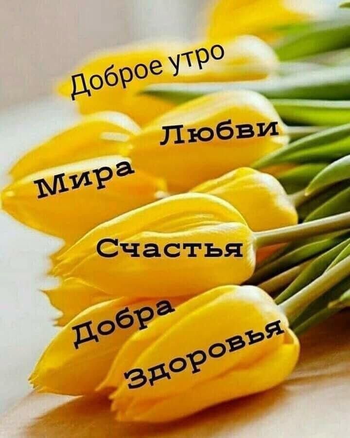 11105 и шта Счастья