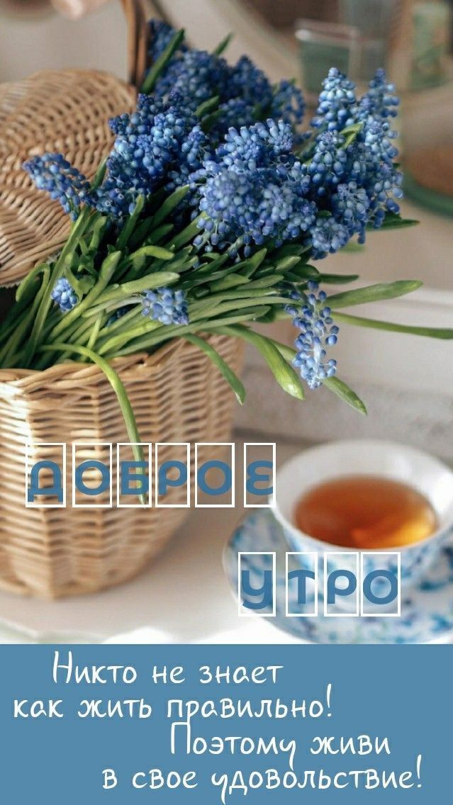 Ж Е гигг