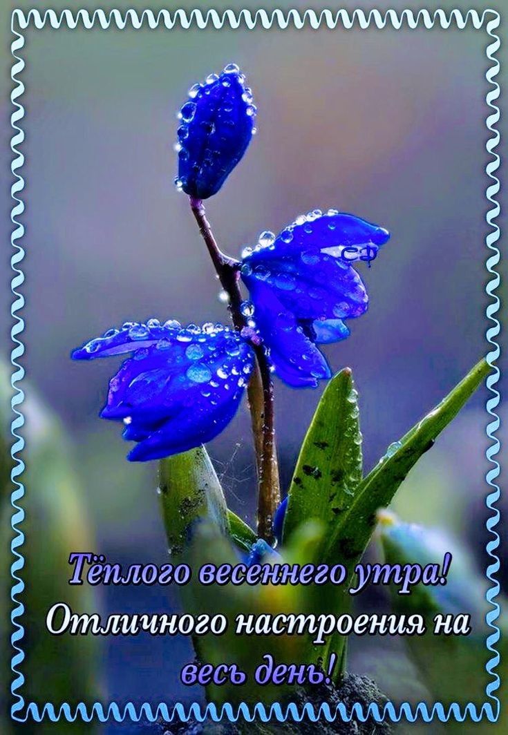 Уччрлъд АМИ ЦУМ г Агар С 3 КЪЮ муж м ЁЗЮ